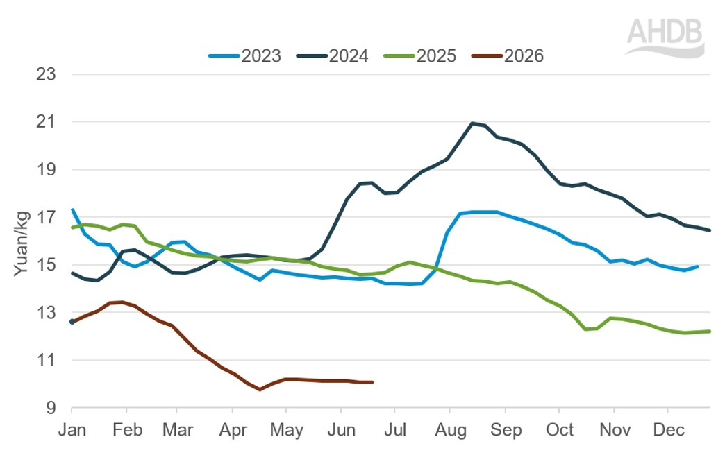 Chinese pig prices liveweight.